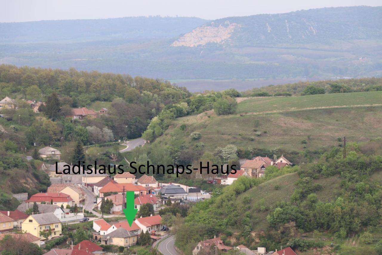 Ladislaus Schnaps-Haus Falusi Vendeghaz Csolnok Eksteriør bilde